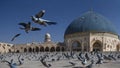 The morning pigeons of Al-Aqsa, seen flying at the courtyard of the Dome of Rock, in the old city of Jerusalem, Palestine Israel.