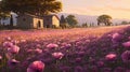 Morning In Provence\'s Anemone Field Royalty Free Stock Photo