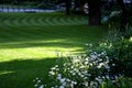 in the morning in the public historical park with a beautifully mown lawn, you can see the lanes where the mower rode. Trees and Royalty Free Stock Photo