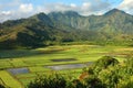 Morning Rainbow, Hanalei Valley Royalty Free Stock Photo