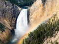 Morning Rainbow, Lower Falls, Yellowstone River Royalty Free Stock Photo