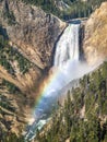 Morning Rainbow Over the Lower Falls of the Yellowstone Royalty Free Stock Photo