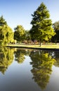 Morning Reflections in the Grand Union Canal Royalty Free Stock Photo