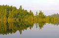 Morning Reflections in the North Woods Royalty Free Stock Photo