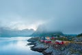 Morning Reine in the fog. Beauty of Lofoten islands, Norway