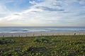 Morning at the Reserva beach, Praia da Reserva, Barra da Tijuca, Rio Royalty Free Stock Photo