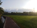 Morning at the rice fields, Dalung Bali Royalty Free Stock Photo