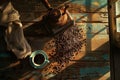 morning ritual with a vintage grinder, fresh coffee beans, and an antique cup under warm sunlight Royalty Free Stock Photo