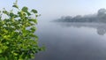 Morning on the river. Fog and soft sunlight. Alder branches bent over the water. Tall grass and trees grow along the banks and are Royalty Free Stock Photo