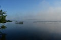 Morning river in fog, tree branches hanging low over the water, reeds