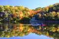 Morning on the river Royalty Free Stock Photo