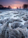 Morning river Royalty Free Stock Photo