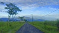 Morning road in sugarcane farm Royalty Free Stock Photo