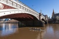 Morning Rowers on Yarra River, Melbourne Australia