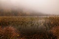 Morning\'s fog over the lake Royalty Free Stock Photo