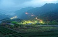 Morning scenery of tea gardens in the deep blue twilight before dawn with beautiful lights from the village in the valley