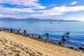 Morning sea landcape with paddle boarders Royalty Free Stock Photo