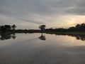 morning shine tree reflection lake Royalty Free Stock Photo