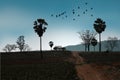 Morning sky and bird flock over dried hill in summer Royalty Free Stock Photo