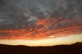 Morning sky over the Sahara
