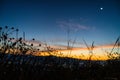 Morning sky on the prairie hay and moon. Royalty Free Stock Photo