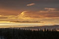 Morning Skyline in the Boreal Forest Royalty Free Stock Photo