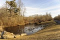 Morning at small pond with ducks in suburban pocket park Royalty Free Stock Photo