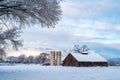 Winter snow on abandoned old fashioned dairy farm buildings