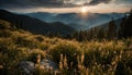 Morning Splendor in the Mountain Wilderness