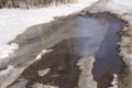 morning spring reflection in a puddle