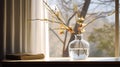 a morning spring still life arrangement featuring blooming broom branches placed in a jar of water, set beside a window