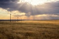 Morning steppe landscape