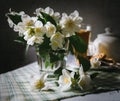 Morning still life with fresh jasmine flowers