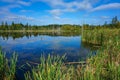 Morning at Stoney Swamp Royalty Free Stock Photo