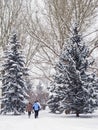 Morning stroll on a snowy day Royalty Free Stock Photo