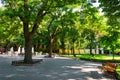 Morning in summer city park, bright sunlit, green trees and shadows Royalty Free Stock Photo