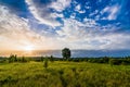 Morning summer landscape with a lone tree in the meadow with sunrise and sunlight in the cloudy sky Royalty Free Stock Photo