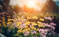 Morning summer or spring. Beautiful wildflowers with dew drops at dawn, light blur, selective focus. Shallow depth of field Royalty Free Stock Photo