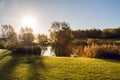 Morning sun in autumn shining over Campbell park