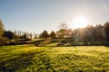 Morning sun in autumn shining over Campbell park