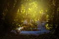 Morning sun and breakfast in nature. Young couple. Royalty Free Stock Photo