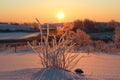 Winter morning in the field