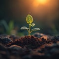 Morning sun kisses, young plant emerges, natures awakening spectacle unfolds