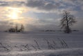 Morning sun over snow field