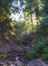 Sun rays pass through the trees in the forest illuminating the Gorchakovsky waterfall in Staraya Ladoga