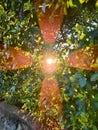 Morning Sun Rays Cross
