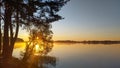 In the morning, the sun rises over the lake and shines through the leaves of a tree. The shores of the lake are covered with fores Royalty Free Stock Photo