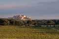 Citadel of Calvi and vineyard in Corsica