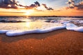 The morning sun at the seaside. Royalty Free Stock Photo