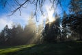 Sun rays shining through trees in Redmond, WA Park Royalty Free Stock Photo